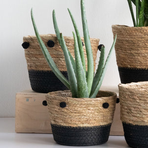 Natural Baskets Set of 2